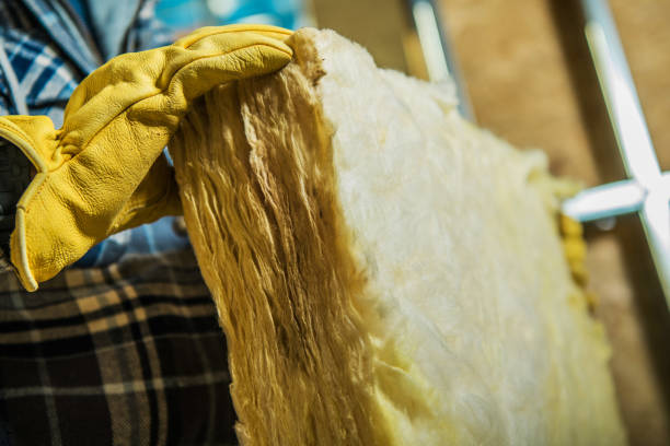 Best Wall Insulation Contractor  in Blythewood, SC