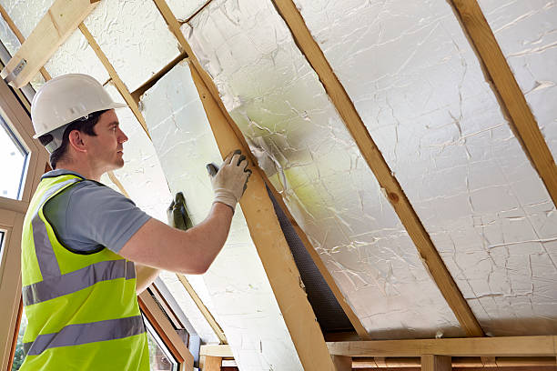 Best Best Insulation Companies  in Blythewood, SC
